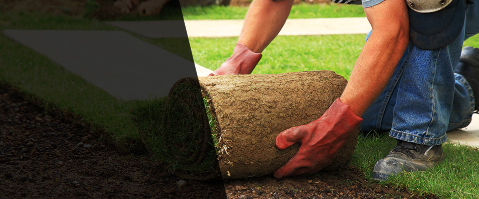 Winter Garden Landscapers